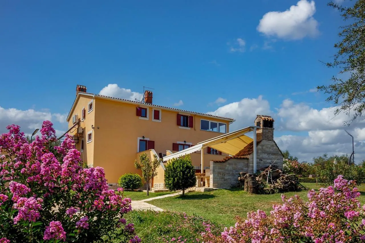 Pool Villa Divina - Happy Rentals Sisan Croatia